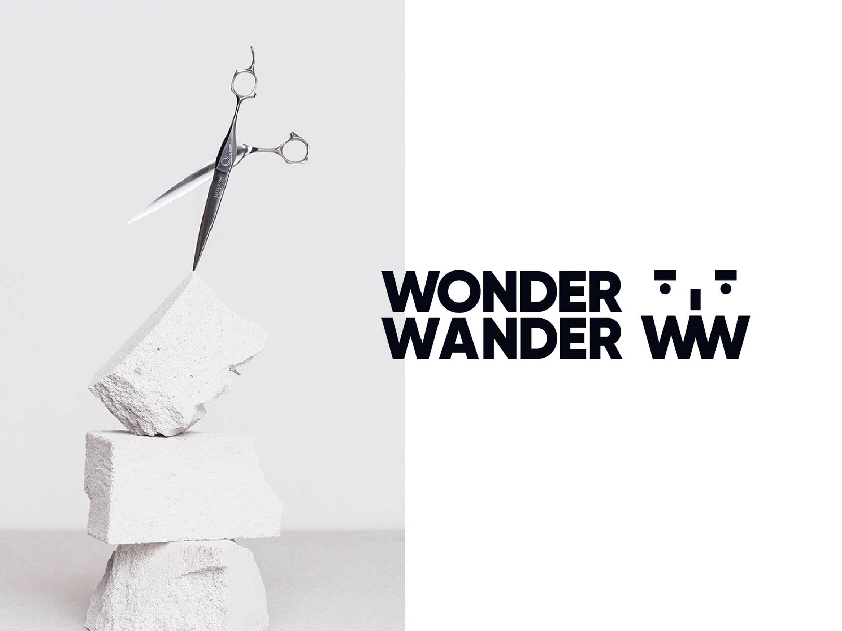 Фирменный стиль и логотип для школы барберов Wonder Wander.