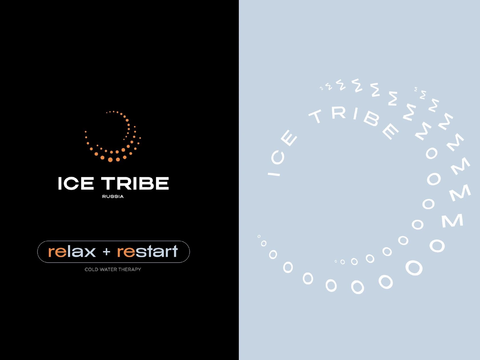 Фирменный стиль и логотип для Ice Tribe.